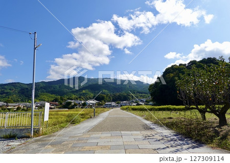 山の辺の道(やまのべのみち) 国道169号線から山の辺へと伸びる田圃を貫く一本道の風景 奈良県天理市 山の辺の道(やまのべのみち) 国道169号線から山の辺へと伸びる田圃を貫く一本道の風景 奈良県天理市 127309114
