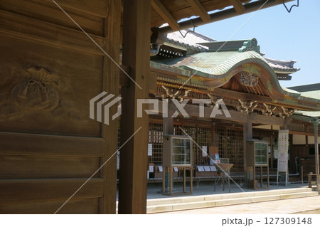 甚目寺観音塔中　大徳院　山門から見た本堂 127309148
