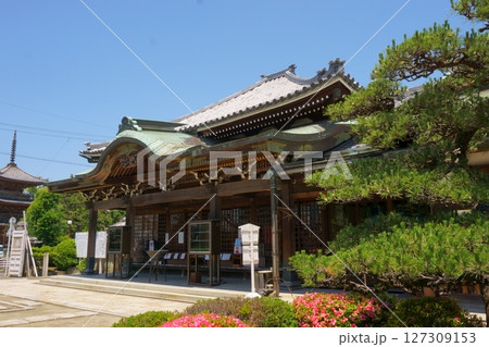 甚目寺観音塔頭　大徳院　本堂 127309153