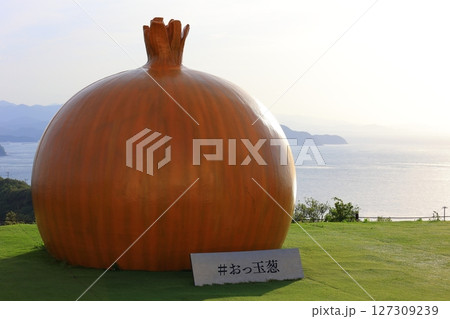 兵庫県 大鳴門橋記念館 うずの丘 おっ玉葱 127309239