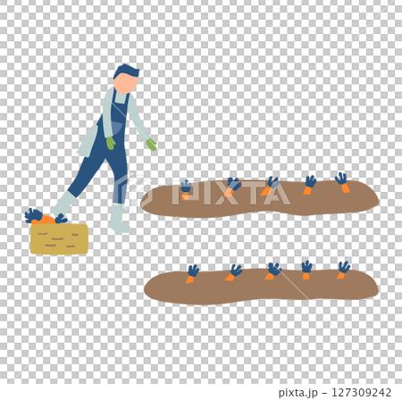 にんじんの収穫作業をする農家のイラスト 127309242