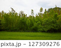 緑豊かな公園 127309276