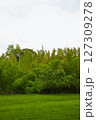 緑豊かな公園 127309278