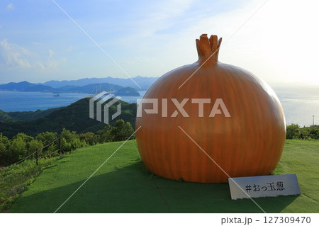 兵庫県 大鳴門橋記念館 うずの丘 おっ玉葱と鳴門大橋 127309470