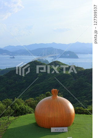 兵庫県 大鳴門橋記念館 うずの丘 おっ玉葱と鳴門大橋 127309537