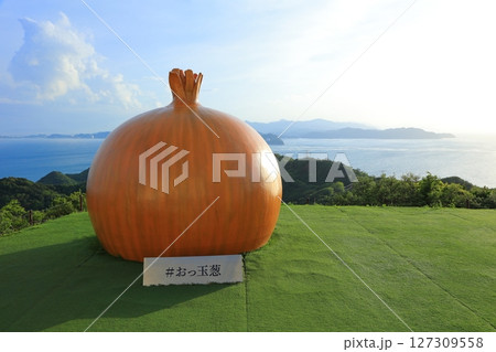 兵庫県 大鳴門橋記念館 うずの丘 おっ玉葱 兵庫県 大鳴門橋記念館 うずの丘 おっ玉葱 127309558