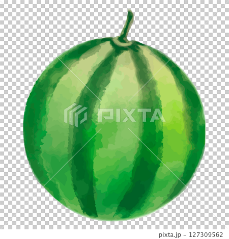 手繪可愛的西瓜插圖 127309562