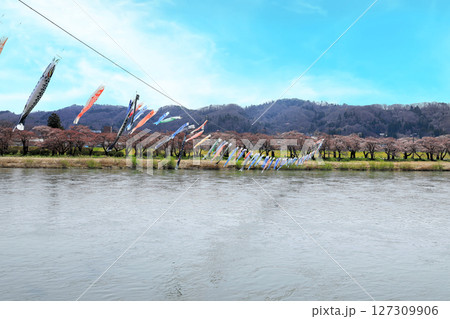 岩手県北上展勝地の桜並木 岩手県北上展勝地の桜並木 127309906