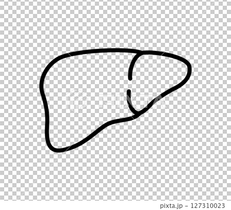 シンプルな肝臓のアイコンイラスト ベクター シンプルな肝臓のアイコンイラスト ベクター 127310023