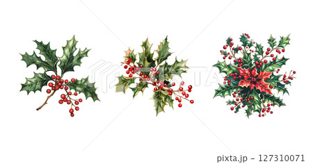 Christmas Holly Berries Botanical Illustrations for Festive Designs 127310071