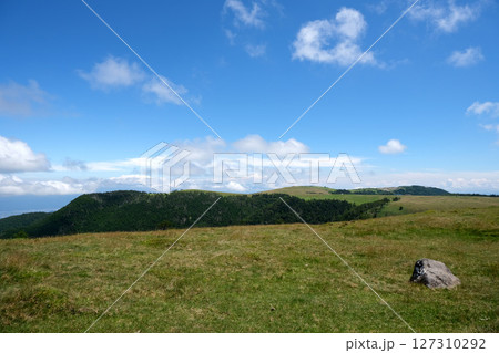 長野県_美ヶ原高原36_2024年8月 長野県_美ヶ原高原36_2024年8月 127310292