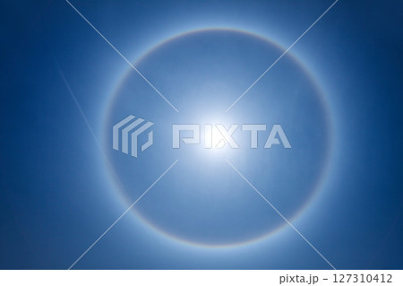 ハロ ハロ 127310412