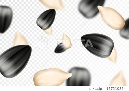 Sunflower seed background. Flying sunflower seed isolated on transparent background. Selective focus. Can be used for advertising, packaging, banner. Realistic 3d design. Vector illustration 127310834