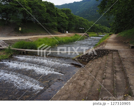 滋賀県　鯎川 127310905
