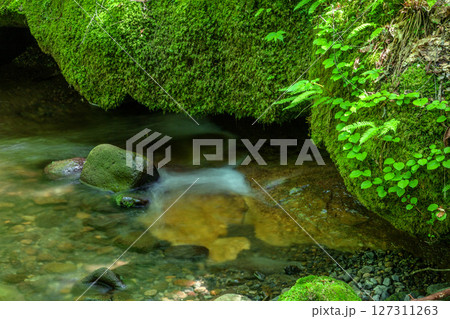 奥山寺遊仙峡 127311263