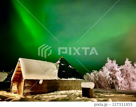 キッティラ　オーロラ 127311855