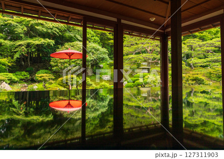 茶室からの新緑の庭園 127311903