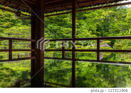 新緑の名勝庭園のリフレクション 127311908