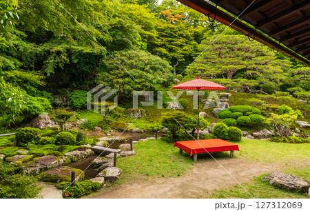 新緑の旧竹林院の名称日本庭園 新緑の旧竹林院の名称日本庭園 127312069