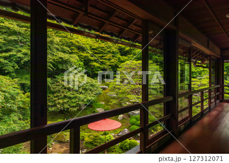 旧竹林院母屋からの新緑の庭園 127312071