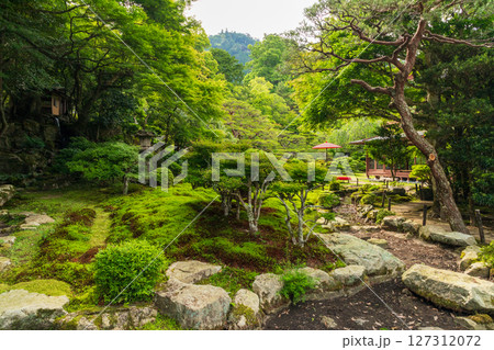 新緑の名勝庭園(旧竹林院) 新緑の名勝庭園(旧竹林院) 127312072