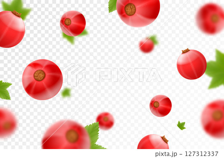 Red currant background. Flying currant with green leaves on transparent background. Falling berries from different angles. Focused and blurry objects. Realistic 3d vector illustration 127312337