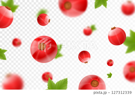 Red currant background. Flying currant with green leaves on transparent background. Falling berries from different angles. Focused and blurry objects. Realistic 3d vector illustration Red currant background. Flying currant with green leaves on transparent background. Falling berries from different angles. Focused and blurry objects. Realistic 3d vector illustration 127312339