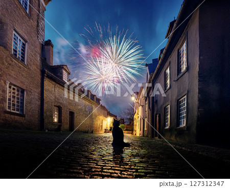 石畳のヨーロッパの街並みで花火を見上げる猫 127312347