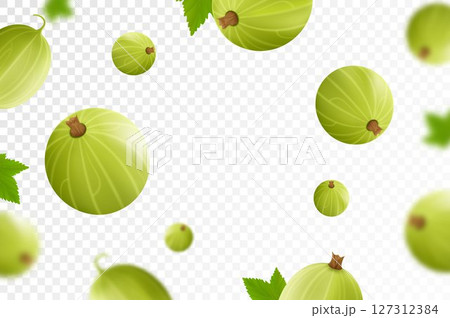 Flying gooseberry, isolated on transparent background. Flying gooseberry with blurry defocused effect. Can be used for advertising, packaging, banner, poster, print. Realistic 3d vector design Flying gooseberry, isolated on transparent background. Flying gooseberry with blurry defocused effect. Can be used for advertising, packaging, banner, poster, print. Realistic 3d vector design 127312384