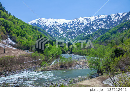 渓流玉川と残雪の山 渓流玉川と残雪の山 127312441