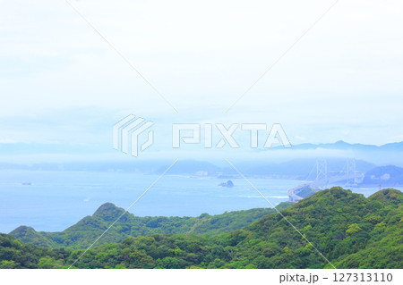 兵庫県 南あわじ市 霧に包まれた大鳴門橋 127313110