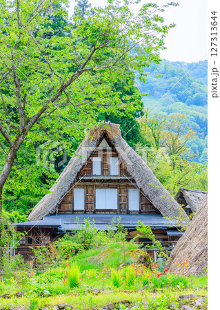 初夏の相倉合掌造り集落 五箇山 富山県南砺市 初夏の相倉合掌造り集落 五箇山 富山県南砺市 127313644