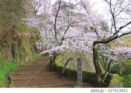 春の岡城跡(竹田市) 春の岡城跡(竹田市) 127313921