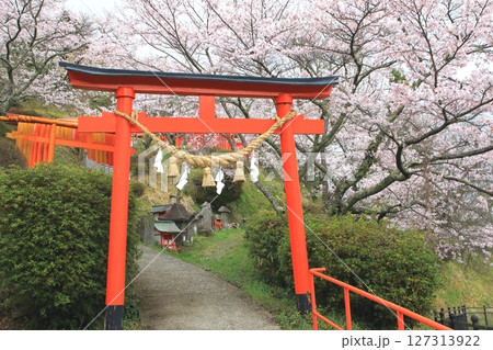 春の扇森稲荷神社(竹田市) 春の扇森稲荷神社(竹田市) 127313922