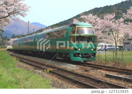 桜並木をゆく「ゆふいんの森号」(南由布駅) 桜並木をゆく「ゆふいんの森号」(南由布駅) 127313935