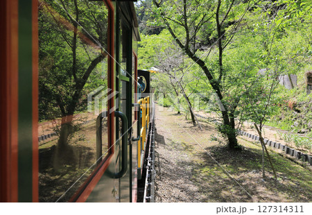 マイントピア別子の鉱山観光鉄道 127314311