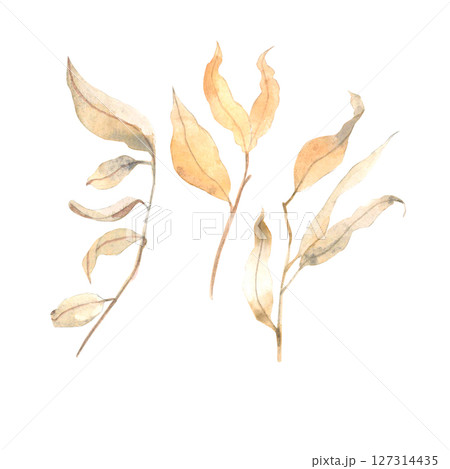 Watercolor hand drawn set with dry leaves Watercolor hand drawn set with dry leaves 127314435