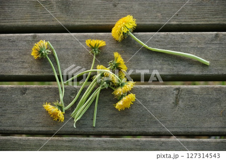 Bunch of yellow flowers are scattered on a wooden bench 127314543