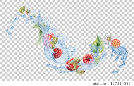 Raspberry ripe garden berries flying in water splash leaves flowers, fresh dewberry cloudberry mulberry loganberry, wet moist dew drops. Isolated illustration hand drawn in watercolor. Drinks grocery 127314555