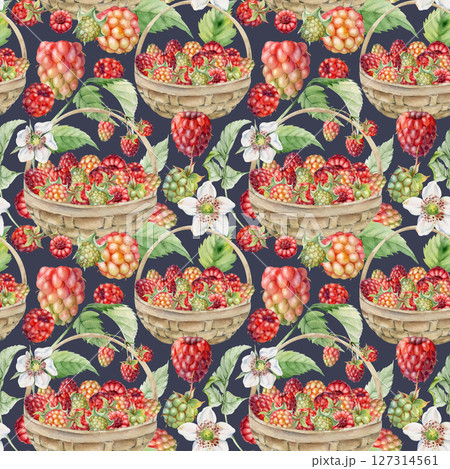 Raspberry with leaves in weaved basket, hand drawn in watercolor. Scattered ripe picked forest garden berry harvest. Seamless pattern isolated on dark. Home preserves, textile linens, food packaging Raspberry with leaves in weaved basket, hand drawn in watercolor. Scattered ripe picked forest garden berry harvest. Seamless pattern isolated on dark. Home preserves, textile linens, food packaging 127314561
