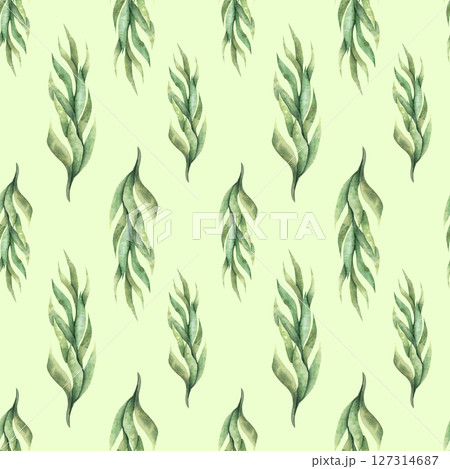 Seamless pattern with watercolor seaweed. Simple minimalistic pattern with greenery in green color. 127314687