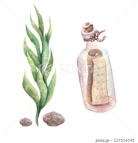 Watercolor seaweed of delicate light green, green color and a bottle with a letter. Marine elements. Watercolor seaweed of delicate light green, green color and a bottle with a letter. Marine elements. 127314745
