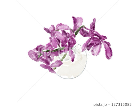 春の花、水彩画風、紫色、菖蒲、あやめ、花瓶 127315083