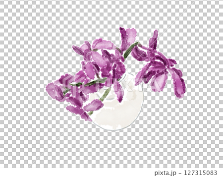 春の花、水彩画風、紫色、菖蒲、あやめ、花瓶 127315083