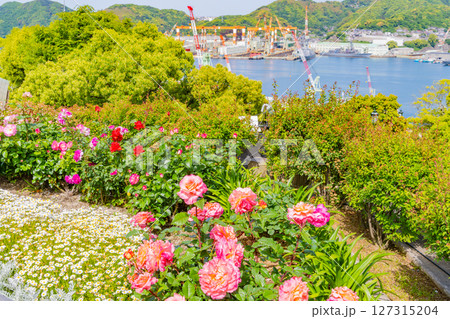 (長崎県)初夏のグラバー園から見る海側の景色 (長崎県)初夏のグラバー園から見る海側の景色 127315204