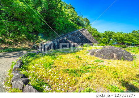梅雨の晴れ間の亀島山　中腹の広場の風景1　岡山県倉敷市 127315277