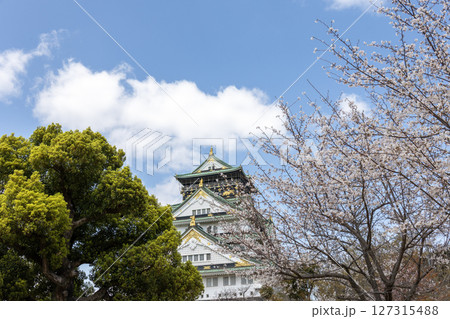 桜の花と大阪城 127315488