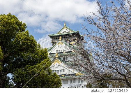 桜の花と大阪城 桜の花と大阪城 127315489