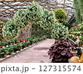 松江フォーゲルパーク（松江市/島根県） 127315574