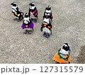 ペンギンのお散歩　松江フォーゲルパーク（松江市/島根県） 127315579